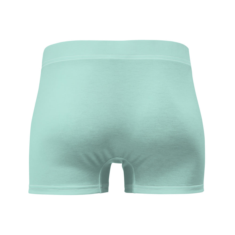 Light Mint Green Boxer Briefs