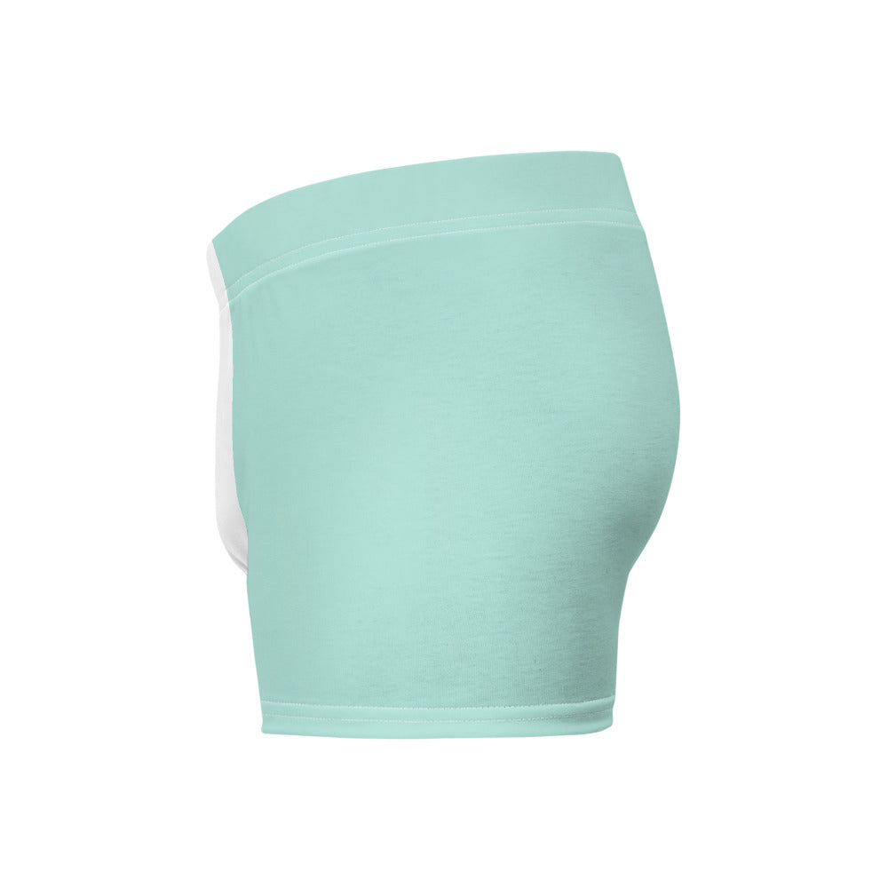 Light Mint Green Boxer Briefs