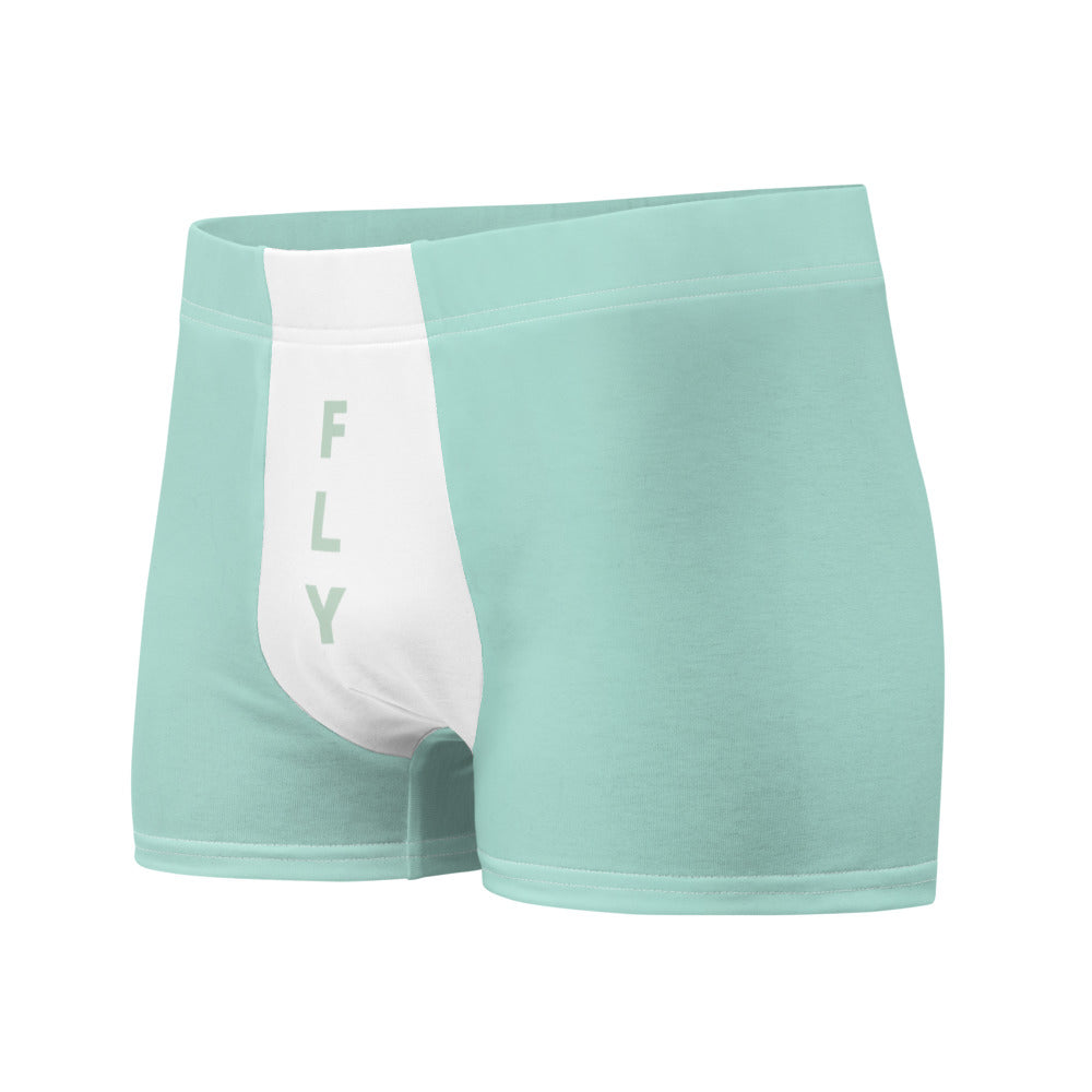 Light Mint Green Boxer Briefs