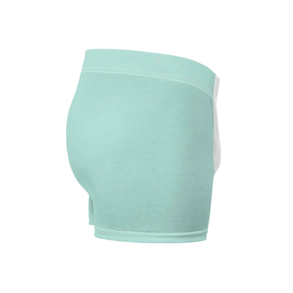 Light Mint Green Boxer Briefs