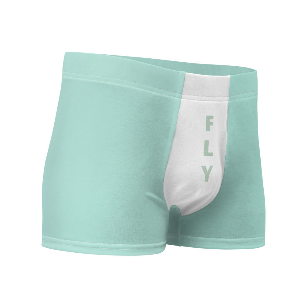 Light Mint Green Boxer Briefs